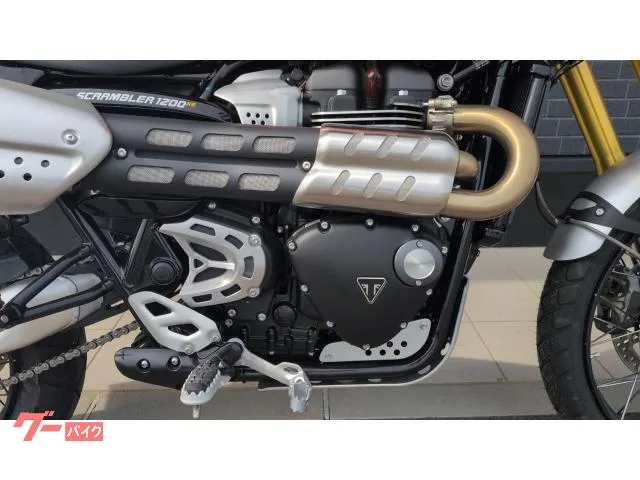 TRIUMPH 1200XE 2024 — миниатюра 5