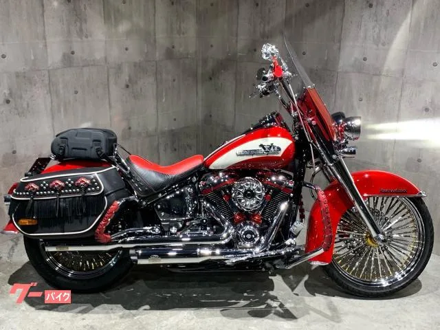 HARLEY-DAVIDSON FLI B ETC 2025 — фото 1, купить с доставкой в Москву