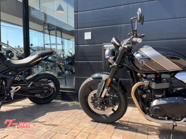 TRIUMPH 900 2026 — миниатюра 2