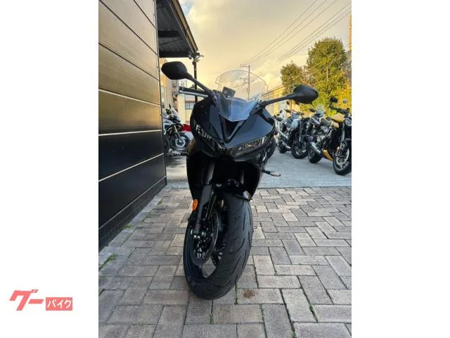 TRIUMPH 660 2026 — миниатюра 4