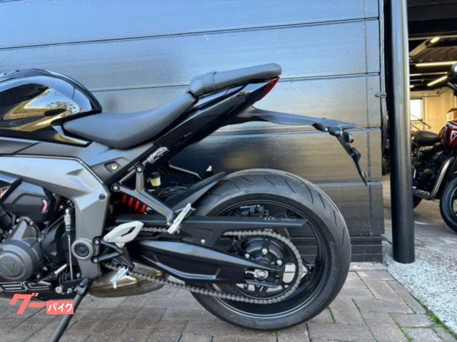 TRIUMPH 660 2026 — миниатюра 3