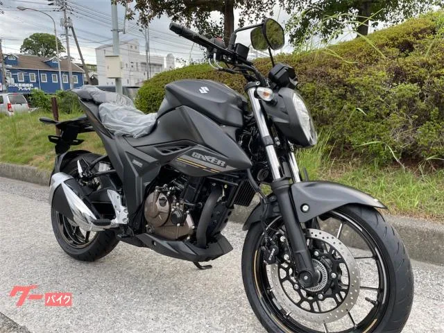 Suzuki GIXXER 250 ABS 2024 — миниатюра 2