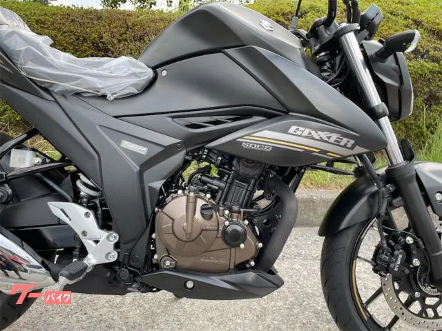 Suzuki GIXXER 250 ABS 2024 — миниатюра 5