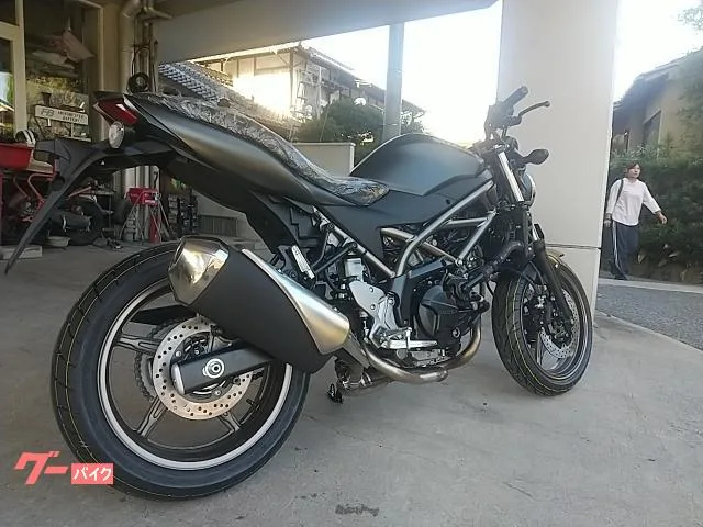 Suzuki SV650 M5 2025 — миниатюра 2