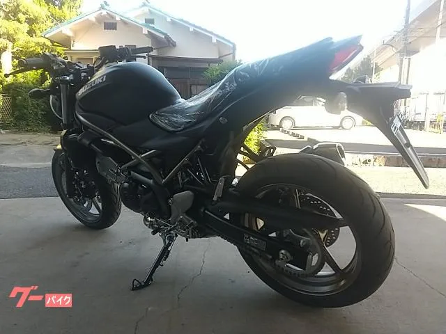 Suzuki SV650 M5 2025 — миниатюра 3
