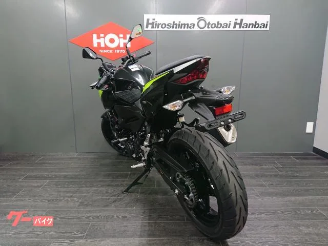 Kawasaki Z250 ABS ETC2.0 USB 2022 — миниатюра 5