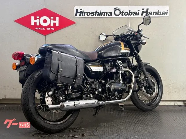 Kawasaki W800 EJ800E ETC 2022 — миниатюра 3