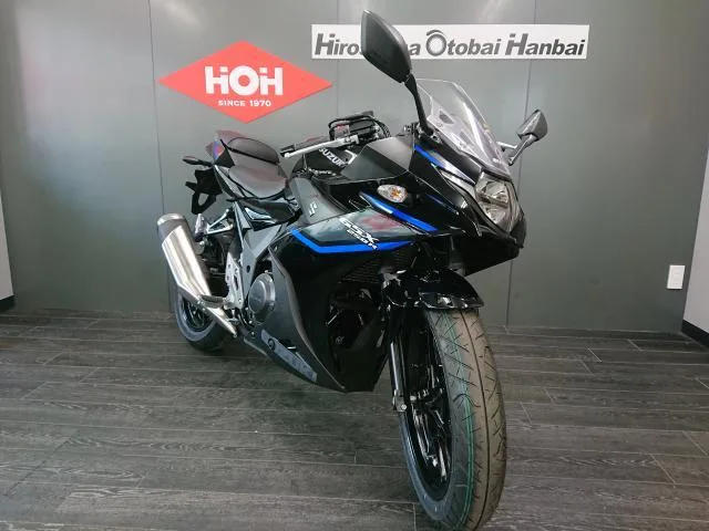 Suzuki GSX250R ABS M6 2026 — миниатюра 4