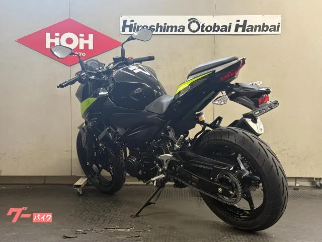 Kawasaki Z250 ABS 2022 — миниатюра 5