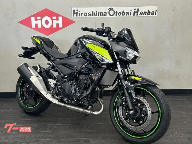 Kawasaki Z250 ABS USB 2022 — миниатюра 2