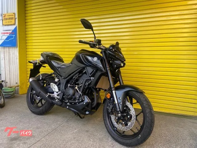 Yamaha MT-25 ABS 2022 — миниатюра 2