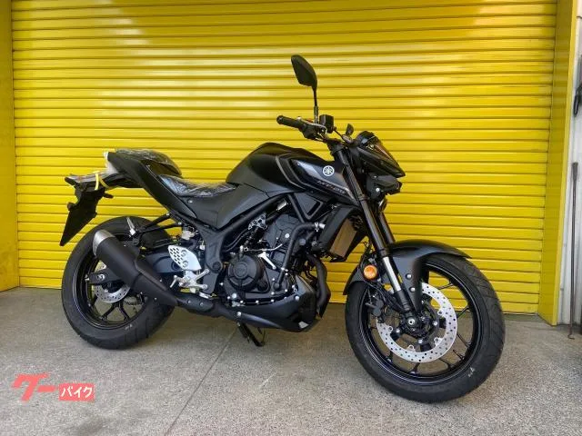 Yamaha MT-25 ABS 2022 — фото 1, купить с доставкой в Москву