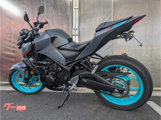 Yamaha MT-03(320cc)ABS 2023 — миниатюра 4