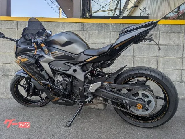 Kawasaki Ninja ZX-25R SE 2022 — миниатюра 4