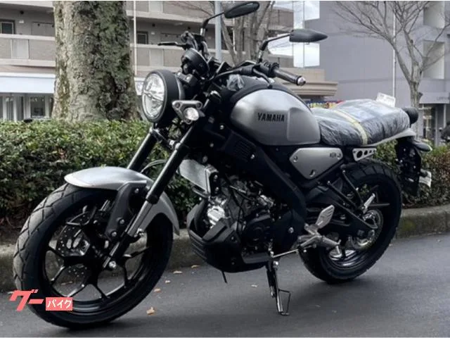 Yamaha XSR125 2023 — миниатюра 2