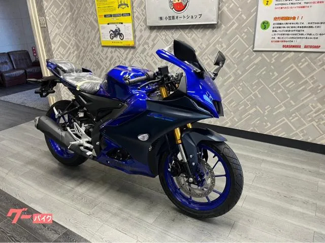 Yamaha YZF-R15 NEW 2023 — миниатюра 2