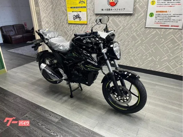 Suzuki GIXXER 150 2023 — миниатюра 2