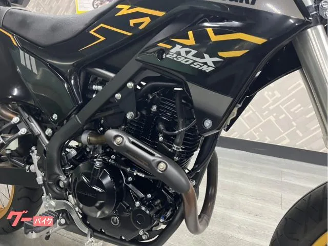 Kawasaki KLX230SM ABS ZETA BOX 2023 — миниатюра 3