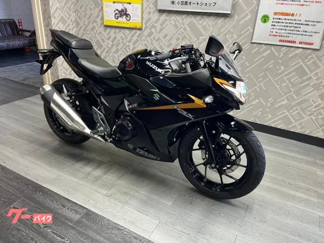 Suzuki GSX250R ABS 2023 — миниатюра 2