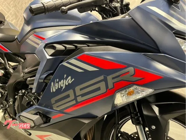 Kawasaki Ninja ZX-25R SE ABS ETC 2022 — миниатюра 3