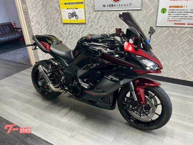 Kawasaki Ninja 1000 SX LCI 2022 — миниатюра 2
