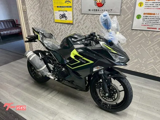 Kawasaki Ninja 250 NEW 2026 — миниатюра 2