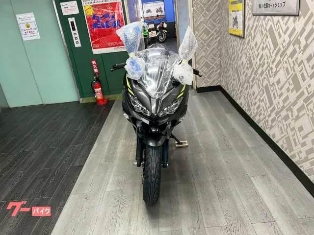 Kawasaki Ninja 250 NEW 2026 — миниатюра 5