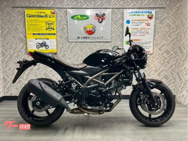 Suzuki SV650X ABS 2023 — фото 1, купить с доставкой в Москву