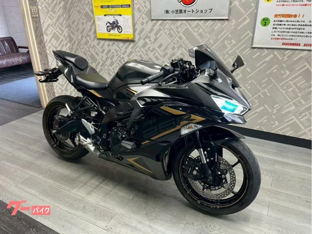Kawasaki Ninja ZX-25R SE 2022 — миниатюра 2