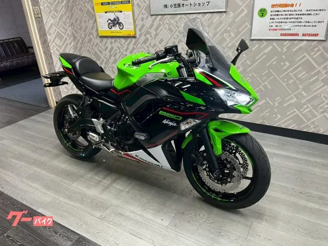 Kawasaki Ninja 650 USB 2022 — миниатюра 2