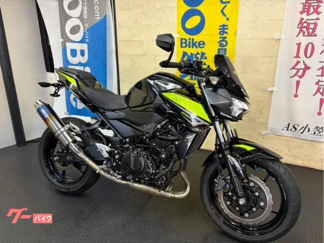 Kawasaki Z250 2022 — миниатюра 2