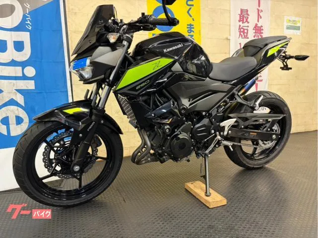 Kawasaki Z250 2022 — миниатюра 3