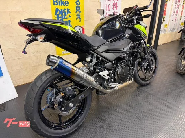 Kawasaki Z250 2022 — миниатюра 4