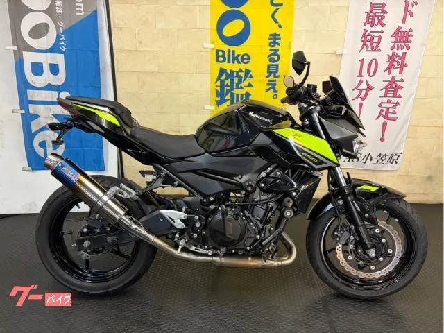 Kawasaki Z250 2022 — фото 1, купить с доставкой в Москву