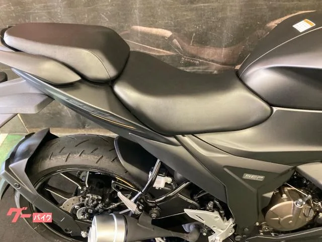 Suzuki GIXXER SF 250 2025 — миниатюра 2