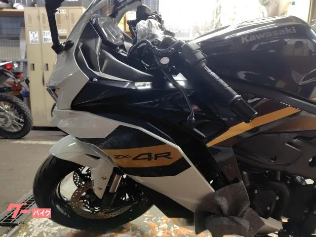 Kawasaki Ninja ZX-4R SE 2026 2026 — миниатюра 2