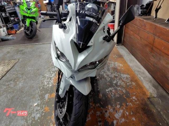 Kawasaki Ninja ZX-4R SE 2026 2026 — миниатюра 3