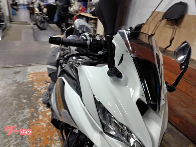 Kawasaki Ninja ZX-4R SE 2026 2026 — миниатюра 5