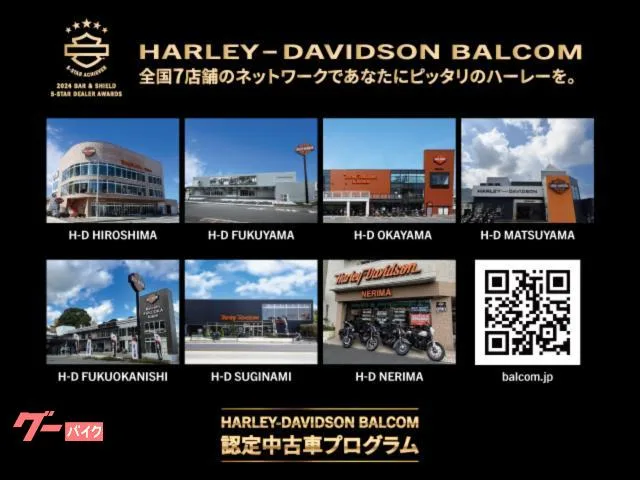 HARLEY-DAVIDSON FLTRT 3 OP ETC VP M8-114 2024 — миниатюра 5