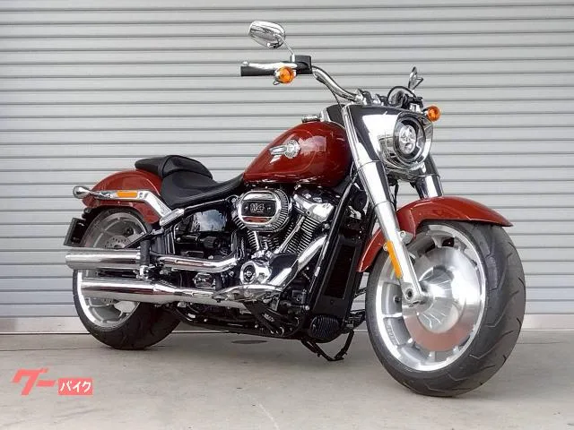 HARLEY-DAVIDSON FLFBS 114 LED M8-114 2024 — фото 1, купить с доставкой в Москву