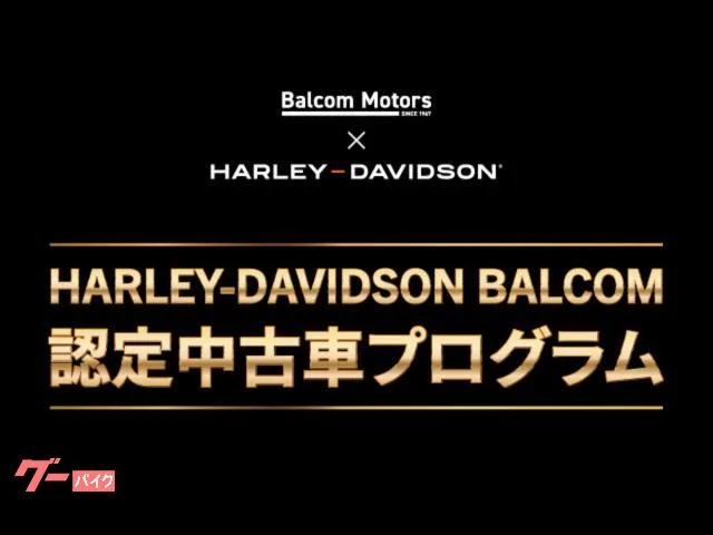 HARLEY-DAVIDSON FLTRX 12.3 M8-117 2024 — миниатюра 3