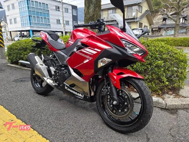 Kawasaki Ninja 250 2022 — миниатюра 2