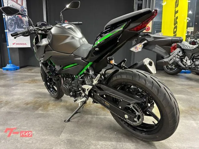 Kawasaki Z250 ETC2.0 ABS 2024 — миниатюра 3