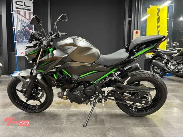 Kawasaki Z250 ETC2.0 ABS 2024 — миниатюра 4