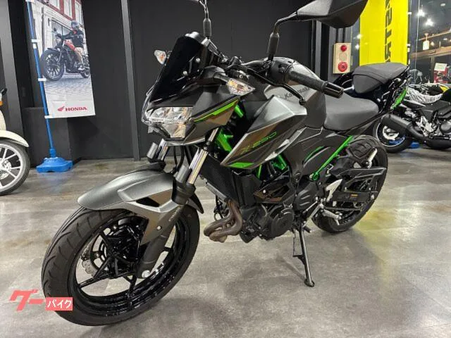 Kawasaki Z250 ETC2.0 ABS 2024 — миниатюра 5