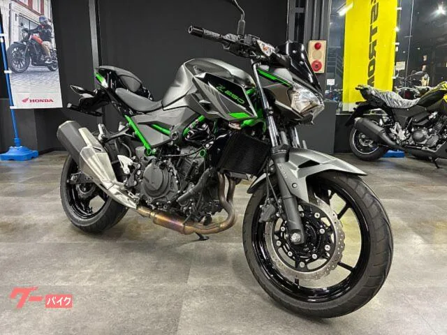 Kawasaki Z250 ETC2.0 ABS 2024 — фото 1, купить с доставкой в Москву