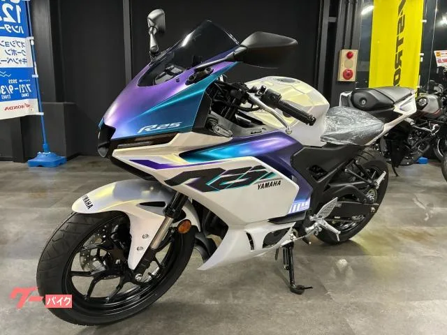 Yamaha YZF-R25 USB LED 2025 — миниатюра 5