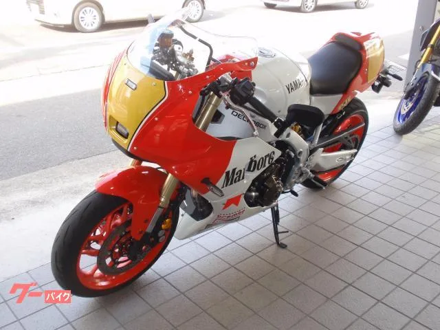 Yamaha XSR900GP 2024 — миниатюра 4