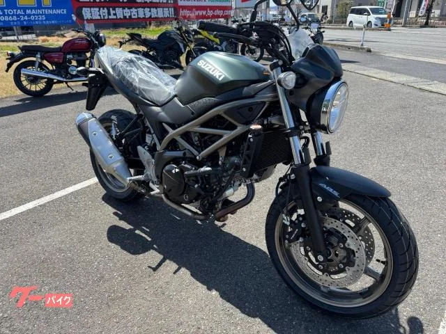 Suzuki SV650 2025NEW 2025 — миниатюра 2