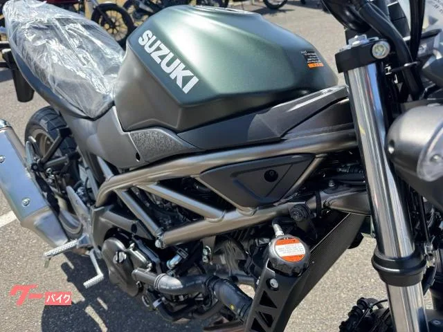 Suzuki SV650 2025NEW 2025 — миниатюра 5